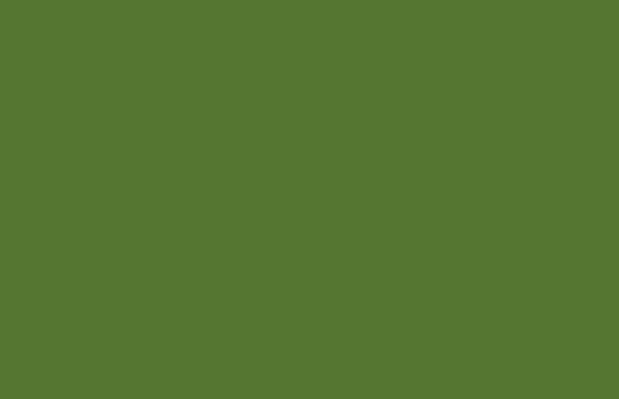 Зелёный папоротник U650